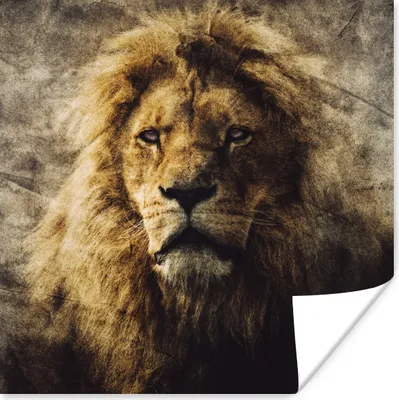 Produktbild von MuchoWow® Poster Löwen - Abstrakt - Farbe 100x100 cm - Babyzimmer