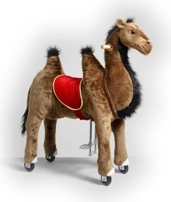 Produktbild von Camel Ponnie M PRO