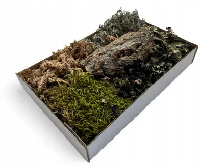 Produktbild von Aquarium Deko, Terrarium Dekorationsset Steppe Wuesten-Mix Moos Wurzeln