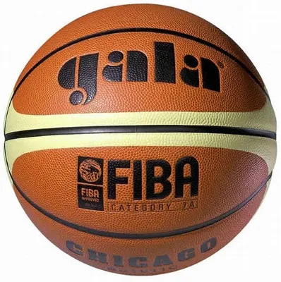 Image de Míč basket GALA CHICAGO BB5011C vel.5 hnědá
