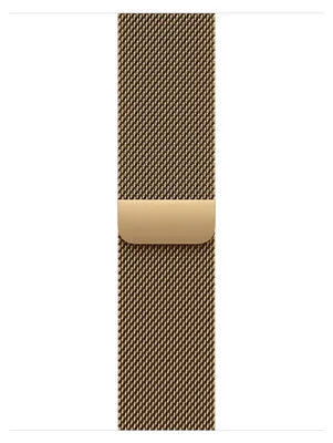 Zdjęcie produktu dla Apple MJNG4ZM/A, Band, Smartwatch, Złoto, Apple, Watch 40 mm, Stal nierdzewna