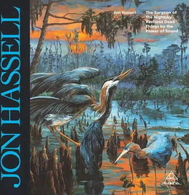 Image de Jon Hassell (1937-2021) : The Surgeon Of The Nightsky (remastered) (180g) - - (LP / T)
