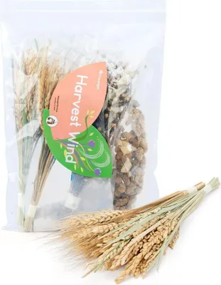 Zdjęcie produktu dla Niteangel Naturalna i miękka ściółka dla chomików karłowatych, myszoskoczków, myszy i degusów