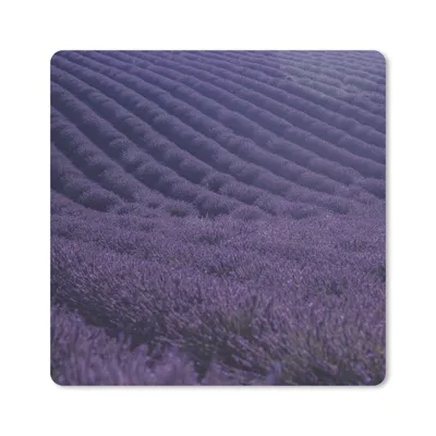 Produktbild von MuchoWow® Mauspad Mousepad Blühendes Lavendelfeld auf sanften Hügeln 20x20 cm - Mousepads - Maus Mat - Pad - Mausunterlage - Desk Mat - Bureauartikeln