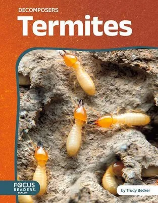 Imagen del producto de Termites