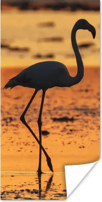 Produktbild von MuchoWow® Poster Die Silhouette eines Flamingos bei Sonnenuntergang 75x150 cm - Dekoration für die Wände