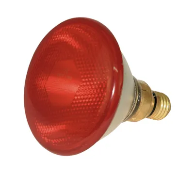 Produktbild von Kerbl Infrarot Wärmestrahler für Küken, Wärmelampe 100 W, Wärmestrahlgerät