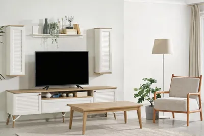 Image de Meuble TV bas de style scandinave avec une finition en bois et des portes sobres