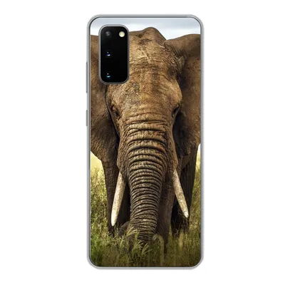 Produktbild von MuchoWow® Handyhülle Schutzhülle Hülle für Samsung Galaxy S20 Elefant - Gras - Tiere - Natur Silikon Softcase Handy Hülle - Bild