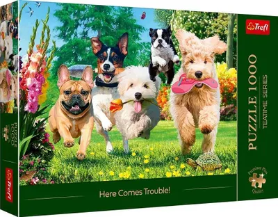 Obrázok produktu pre Trefl 10800 puzzle Jigsaw puzzle 1000 pc(s) Animals