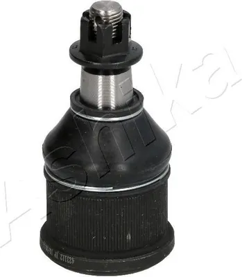 Produktbild von ASHIKA Traggelenk Vorne für HONDA Accord VII Limousine (CL, CN) 73-04-402