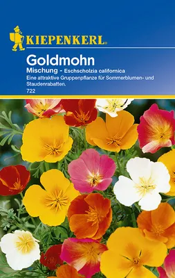 Immagine prodotto di Miscela Goldmohn | Semi di papavero di Kiepenkerl [MHD 01/2024]