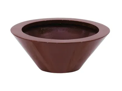 Image de EUROPALMS LEICHTSIN BOWL-15, rouge, brillant