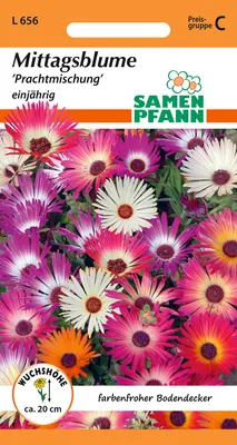 Artikelbild 1 von 'Mittagsblume Mischung' aus der Kategorie Blumensamenmischung