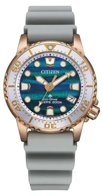 Image de Montre CITIZEN EO2023-00W