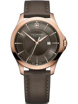 Obrázek produktu pro Pánské hodinky Victorinox 241908 šedé