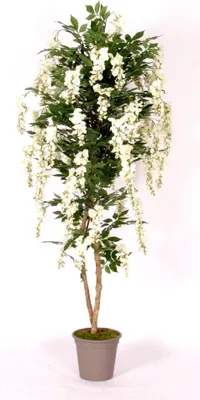 Produktbild von artplants.de Künstlicher Blauregen MALENKA, Natürliche Stämme, mit Blüten, weiß, 175cm - Italy - Deko Blauregen