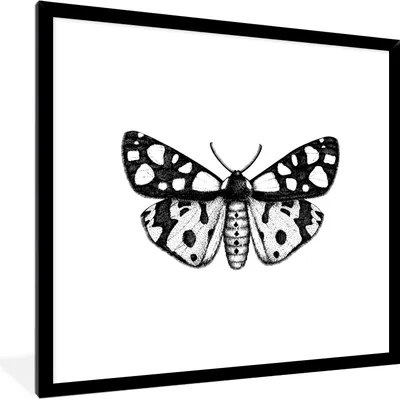 Produktbild von MuchoWow® Gerahmtes Poster Schmetterling - Vintage - Schwarz und weiß 40x40 cm - Poster mit Schwarzem Bilderrahmen Wandposter Rahmen Foto Bilder - Mit Rahmen - Wanddekoration Schlafzimmer