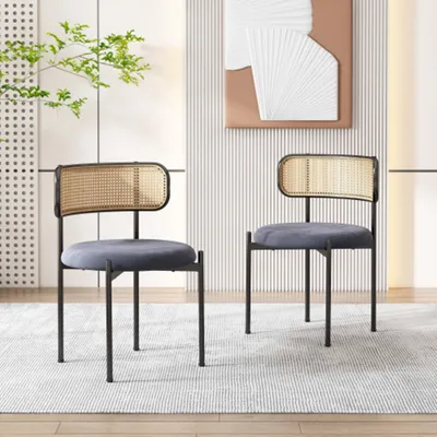 Produktbild von Esszimmerstuhl,2er set, moderner, einfacher Freizeitstuhl, Rattan-Freizeitstuhl, Wohnzimmer- und Schlafzimmerstuhl