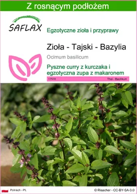Zdjęcie produktu dla SAFLAX - Zioła - Tajski - Bazylia - 200 Nasiona - Z podłożem uprawowym wolnym od zarazków - Ocimum basilicum