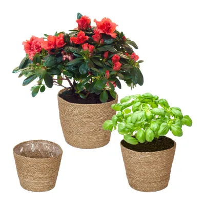 Zdjęcie produktu dla Relaxdays 10048141, 1 szt.