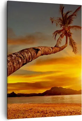 Produktbild von Bild auf Leinwand - Leinwandbild - Einteilig - Palme Landschaft Sonne - 50x70cm - Wand Bild - Wanddeko - Wandbilder - Leinwanddruck - Wanddekoration - Leinwand bilder - Wandbild - PA50x70-0162