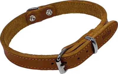 Obrázok produktu pre Obojok "TABIL" koňak 40 cm (31-36 cm), 16 mm