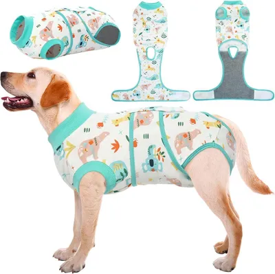Produktbild von Kuoser Hundebody Nach Op Kastration Rüde Hündin XL Grün