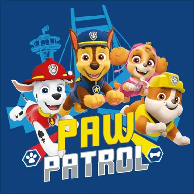 Produktbild von Paw Patrol Team Handtuch, Gesichtstuch, Handtuch 30x30cm