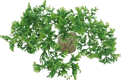 Productafbeelding van Sydeco Kunstplant Tropicalmoss 7CM