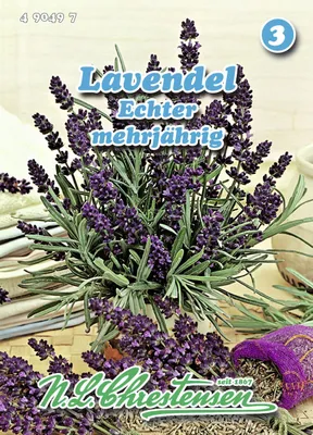 Produktbild von Lavendel Echter | Lavendelsamen von N.L. Chrestensen