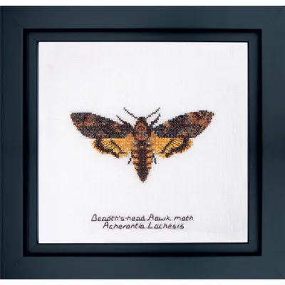 Obrázek produktu pro Vyšívací sada Thea Governor "Skull hawkmoth Aida", počítaná, 21x21cm