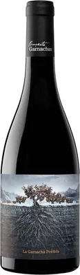 Immagine prodotto di La Garnacha Perdida del Pirineo 2019 Vino rosso Spagna 75,00 cl 15,0 %
