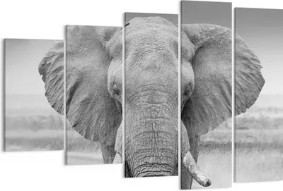 Produktbild von Bild auf Leinwand - Leinwandbild - 5 Teile - Elefant Afrika Tier - 150x100cm - Wand Bild - Wanddeko - Wandbilder - Leinwanddruck - Bilder - Wanddekoration - Leinwand bilder - Wandbild - EG150x100-5072