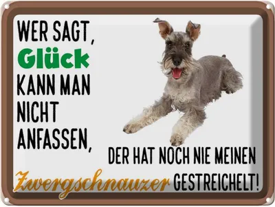Produktbild von vianmo Blechschild 30x40 cm Glück Zwergschnauzer Hund