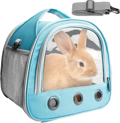Productafbeelding van Dieren Transportbox - Draagtas Huisdier - Reizen met Dieren - Opvouwbaar Lichtgewicht - 30 x 21 x 27 cm - Blauw