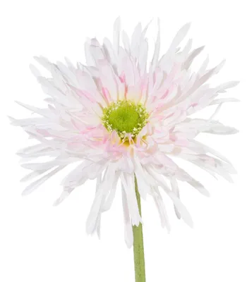 Produktbild von Kunstblume, Seidenblume GERBERA gefüllt 57cm ROSA