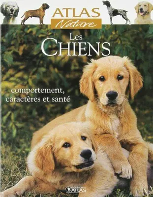 Image de Les chiens