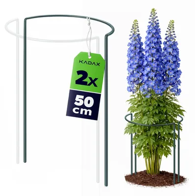 Produktbild von Pflanzenstütze - Halbrund - 50 cm Höhe - 2er Set - Hellgrün