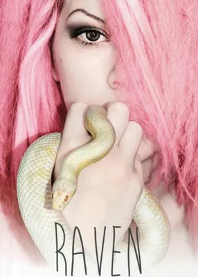 Produktbild von Raven