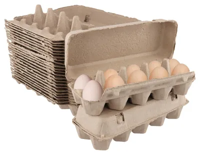 Eierkartons aus Cellulose, 25 Stück, für 10 Eier, braun