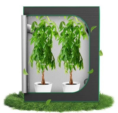 Produktbild von XINZI Growzelt 120 x 60 x 150 cm Gewächshaus, Indoor Growroom Growschrank Darkroom mit Beobachtungsfenster, Pflanzenzelt Gewächshaus Zuchtzelt