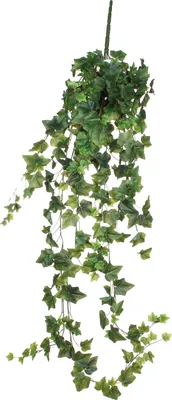 Obrázok produktu pre Sľudové dekorácie Hedera umelá rastlina na zavesenie - D24 x Š15 x H130 cm - zelená