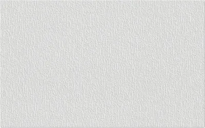 Produktbild von Erfurt Vliesfaser Tapete Protect 202 weiß, 10,05 x 53 cm überstreichbar