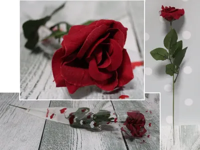 Image de Rose 20 pcs Déroulée dans un cône d'aluminium 40 Cm Vab-18091