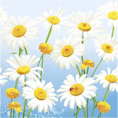 Immagine prodotto di Tovaglioli 33x33 cm - Lovely Marguerites on Blue