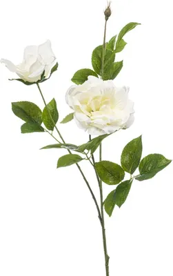 Produktbild von artplants.de Kunst Zweig Rose XAVORN, weiß, 80cm - Künstlicher Rosenzweig