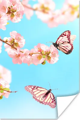 Produktbild von MuchoWow® Poster Schmetterlinge - Baum - Blumen 40x60 cm - Plakate für die Wand - Poster Babyzimmer