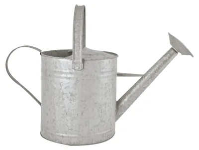 Gießkanne aus Zink, 3,5 l, für Fallobst, grau
