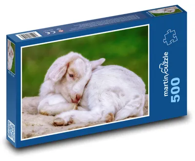 Produktbild von Puzzle 500 Ruhendes Lamm auf der Wiese - martinpuzzle